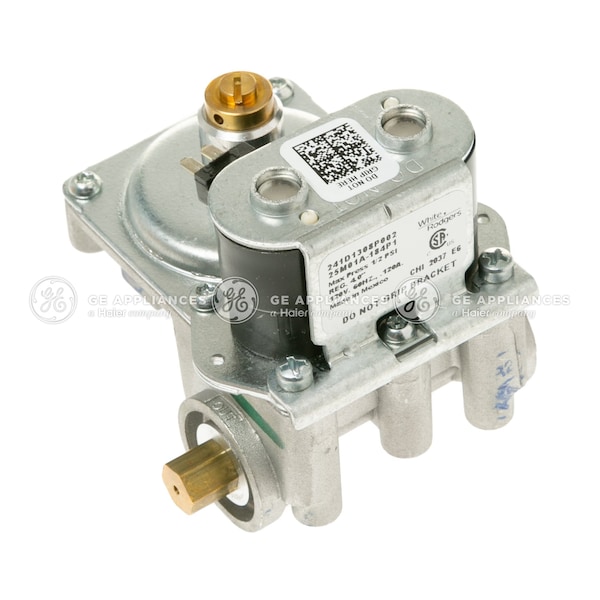 Ge WE11X29741 GE Gas Valve WE11X29741 - main